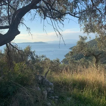Hill